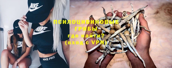 гидропоника Аркадак