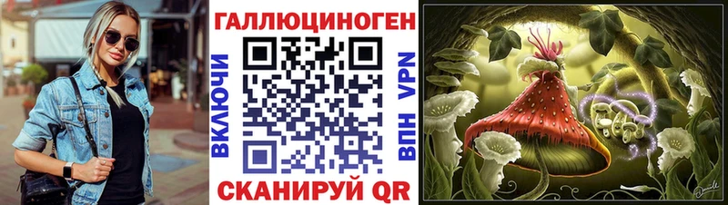 kraken tor  закладки  Закаменск  маркетплейс какой сайт  Псилоцибиновые грибы мухоморы 
